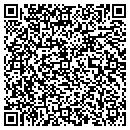 QR code with Pyramid Title contacts