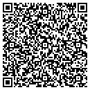 QR code with Pro Cellular contacts