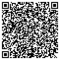 QR code with Wireless Tools contacts