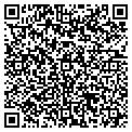 QR code with Antiek contacts