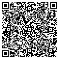 QR code with Amscot contacts