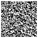 QR code with Public Storage contacts