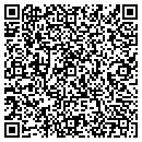 QR code with Ppd Electronics contacts