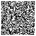 QR code with Amplon contacts