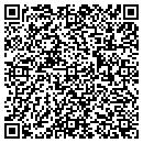 QR code with Protronics contacts