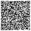 QR code with Carrie Ruggieri Lmhc contacts