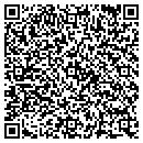 QR code with Public Storage contacts