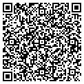 QR code with City Cafe Inc contacts