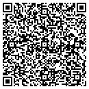 QR code with Crystal Connection contacts