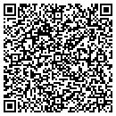 QR code with Pulmiserv Corp contacts