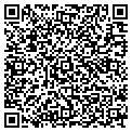 QR code with Amsoil contacts