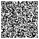 QR code with Castleton Zoning Adm contacts