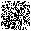 QR code with Blue Water Sanitation contacts