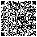 QR code with Public Library System contacts