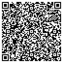 QR code with Bison Plowing contacts