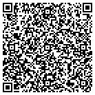 QR code with Baldwin Snow Management contacts