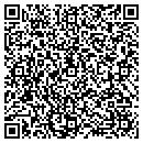 QR code with Briscoe Implement Inc contacts