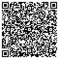 QR code with Haveli contacts