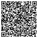 QR code with Amores contacts