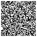 QR code with Conifer Corner L L C contacts