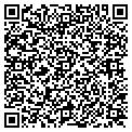 QR code with Dlm Inc contacts