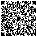 QR code with Psm Fasteners contacts