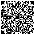 QR code with E-Gear contacts