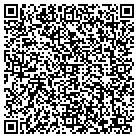 QR code with Blimpie Subs & Salads contacts