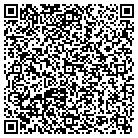 QR code with Blimpie Subs And Salads contacts