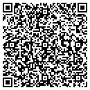 QR code with Pulsar Alarm Systems contacts