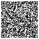 QR code with Protek Security Inc contacts