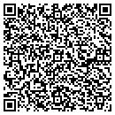 QR code with Carlson Holdings Inc contacts