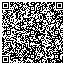 QR code with Precision Access contacts