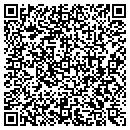 QR code with Cape Systems Group Inc contacts