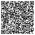 QR code with Gotcha contacts