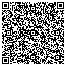 QR code with Cyber Security Systems contacts