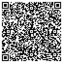 QR code with Cdt Micro Graphics Inc contacts