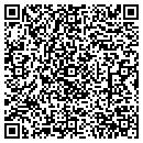 QR code with Publix contacts