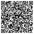 QR code with Figrig contacts