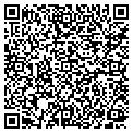 QR code with New Wok contacts