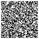 QR code with Carver Valley Data Center contacts