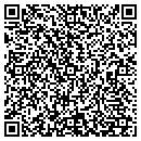 QR code with Pro Tint & More contacts