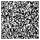 QR code with Boisenow Web Design contacts