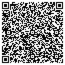 QR code with Professional Tint contacts