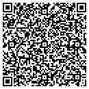 QR code with Cyber Fury LLC contacts