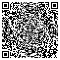 QR code with Alpha contacts