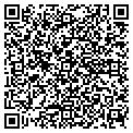 QR code with Intity contacts
