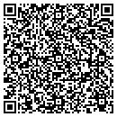 QR code with Cygnul Systems contacts