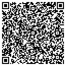 QR code with Capiche Design Studio contacts