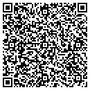 QR code with Carson City Tire Inc contacts
